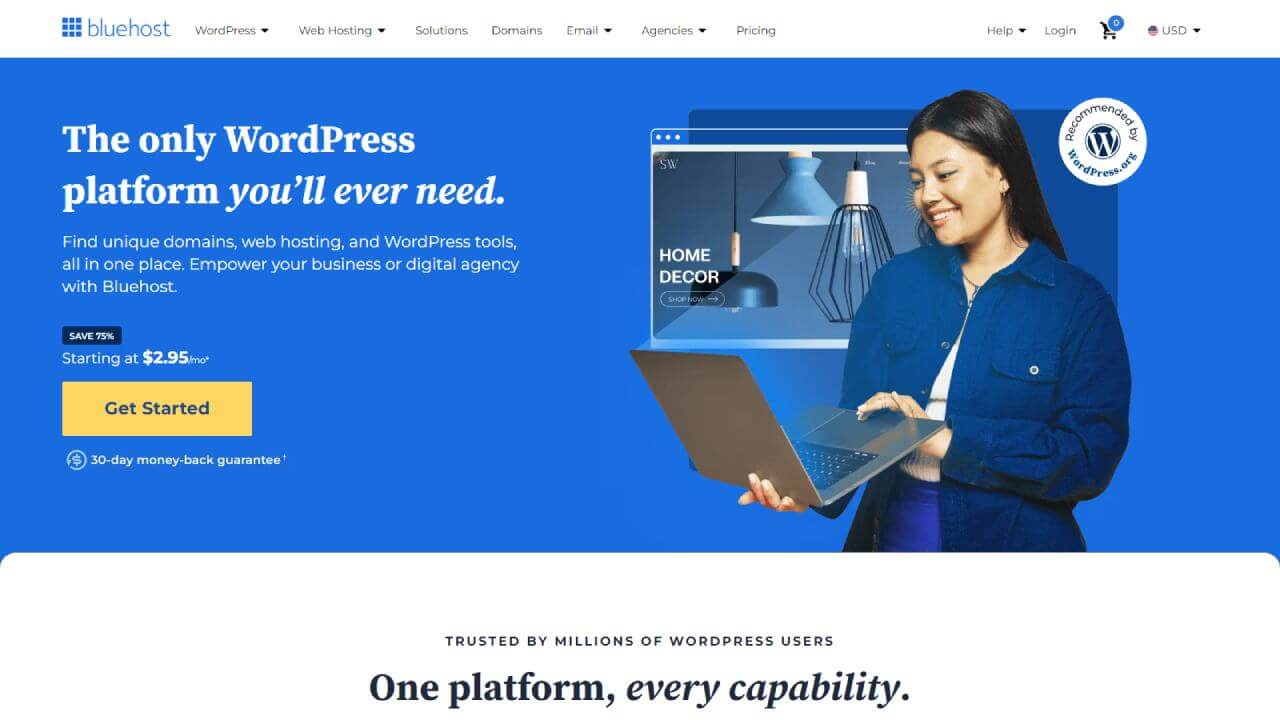 Bluehost web hosting provider